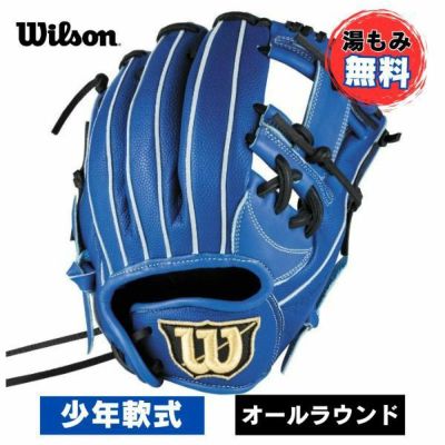 軟式グローブ　湯もみ済み　ワールドペガサス ワールドペガサス 野球 湯もみ型付け済み 硬式 軟式 グローブ