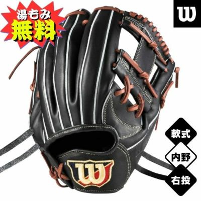 【湯もみ加工無料】ウィルソン　軟式野球グローブ　Basic Lab DUAL 1723型　WBW103014　内野手用(11.75インチ)　野球グラブ　ブラック